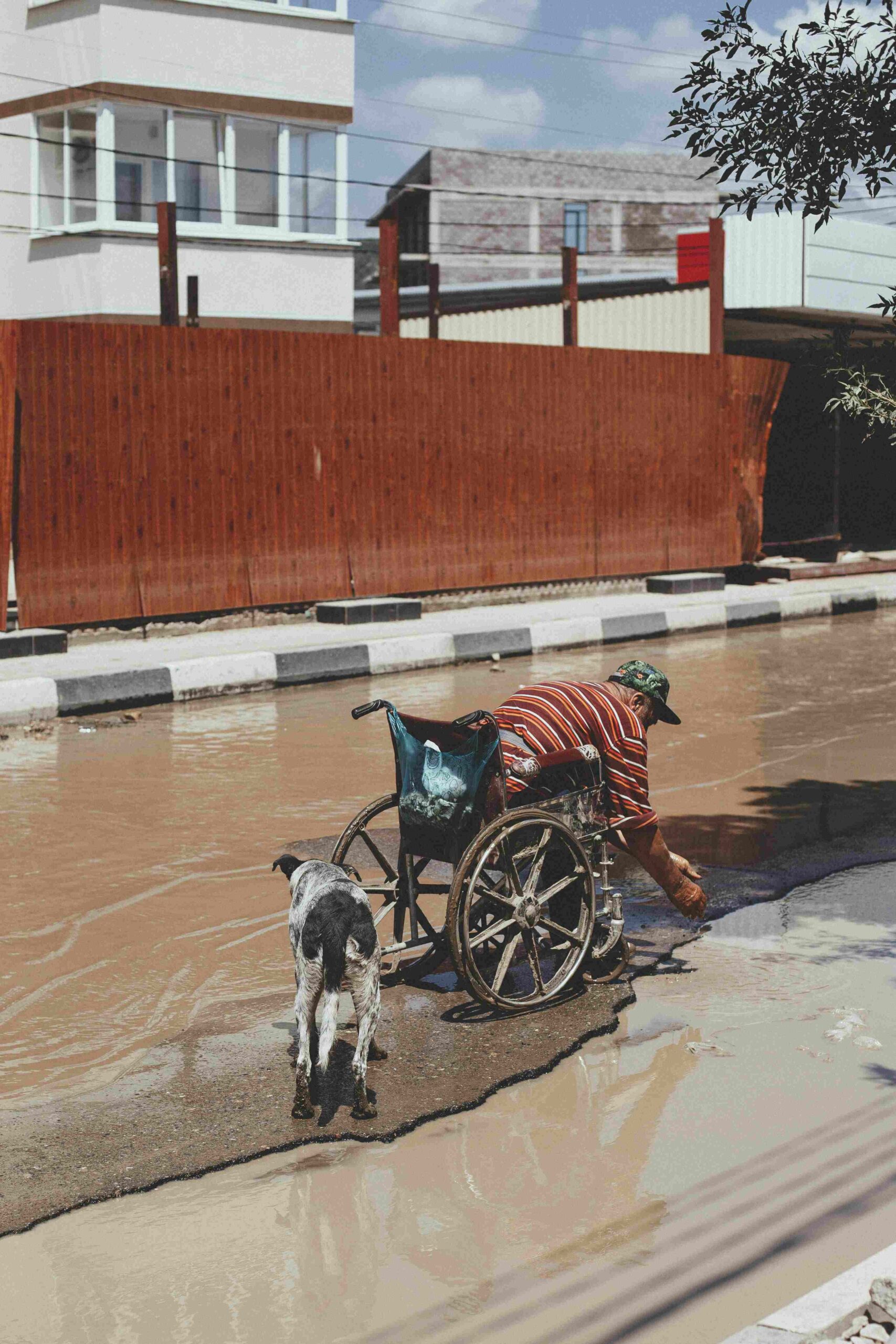 A man in a wheelchair leans forward to touch muddy floodwater on a partially submerged street while a black-and-white dog stands beside him, with residential buildings and a wooden fence in the background.